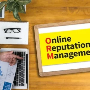 Online Reputation Management (ORM)