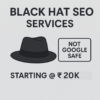 Black Hat SEO Services – Rapid Results with Risk