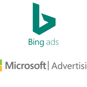 Bing Ads Management – Target Customers Beyond Google