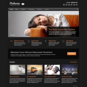 WordPress CMS Website