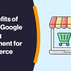 Google Shopping Ads Management – Drive More E-Commerce Sales